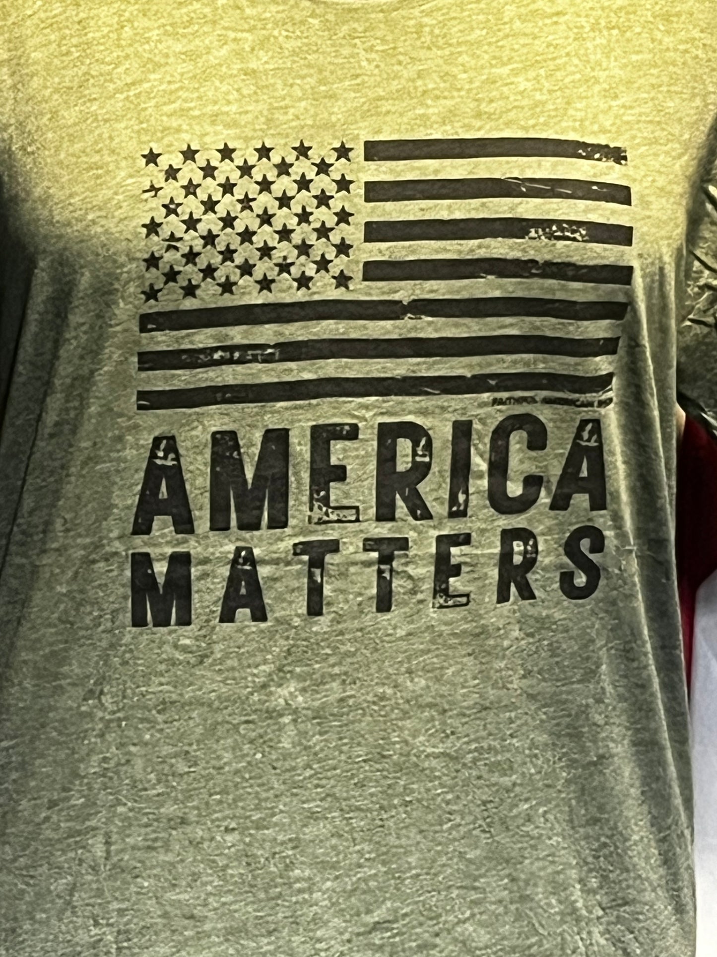 America Matters