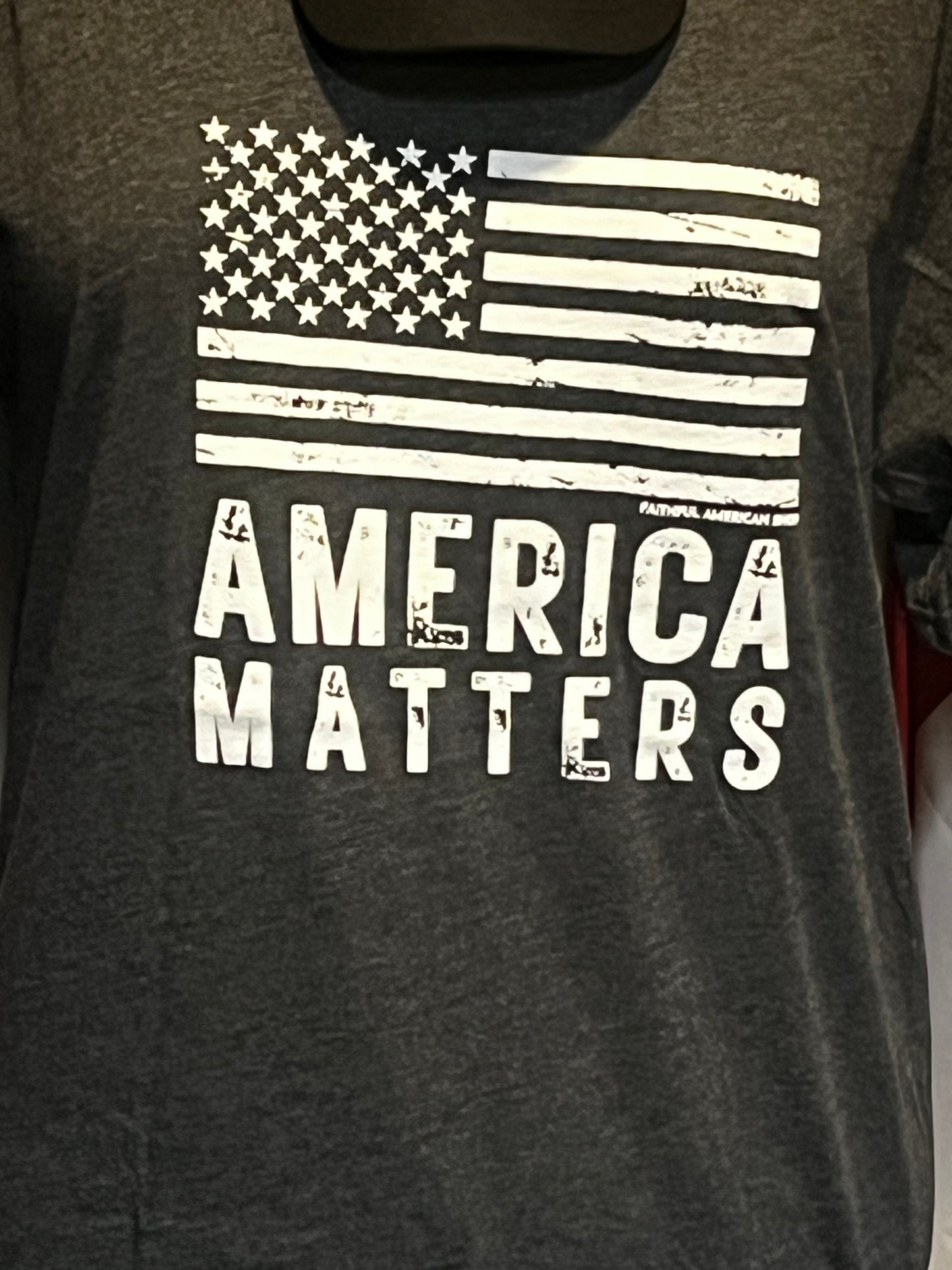 America Matters